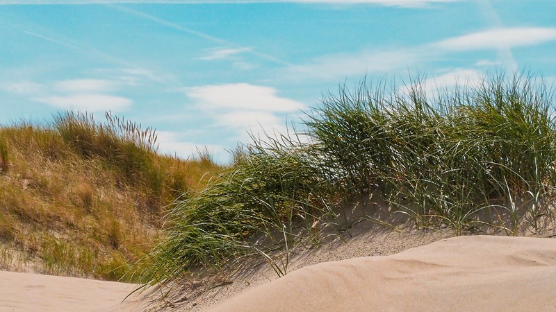 beach-4011310_1920.jpg